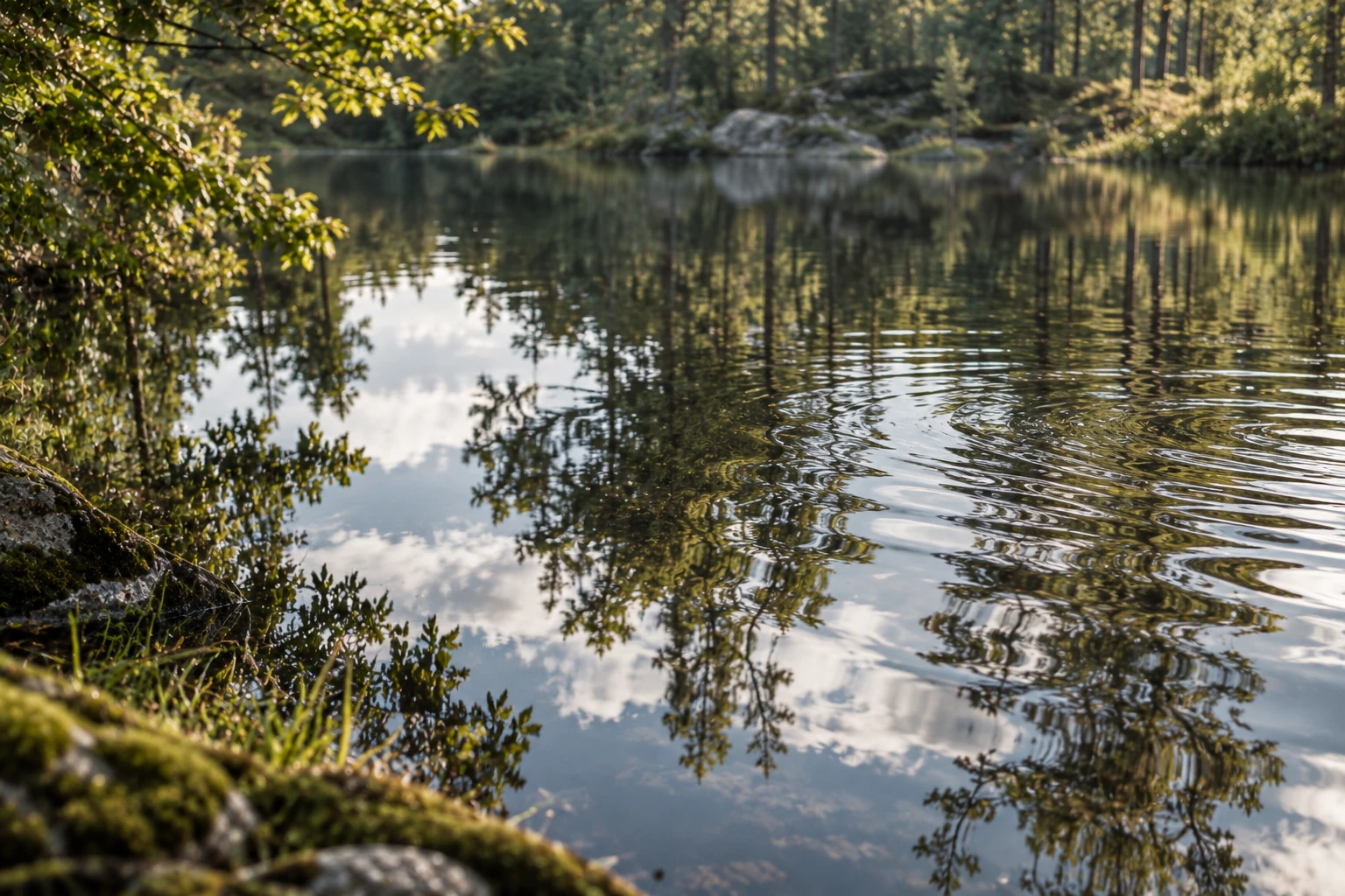 Spiegeling van bomen in stil water met zachte rimpelingen als natuurlijke metafoor voor jezelf kwijt zijn en je eigen identiteit weer herkennen.